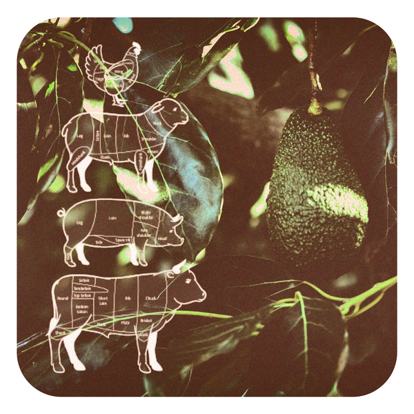 Vegetarian vs Omnivores. The facts.