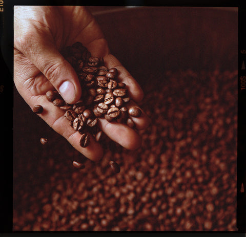 St Tropez Blend | Bold & Fruity Coffee